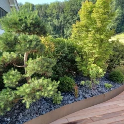 Conception & Réalisation de jardins - carrousel image 7