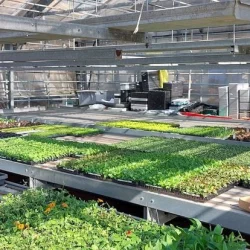 Production locale​ - bronnimann - galerie image 1